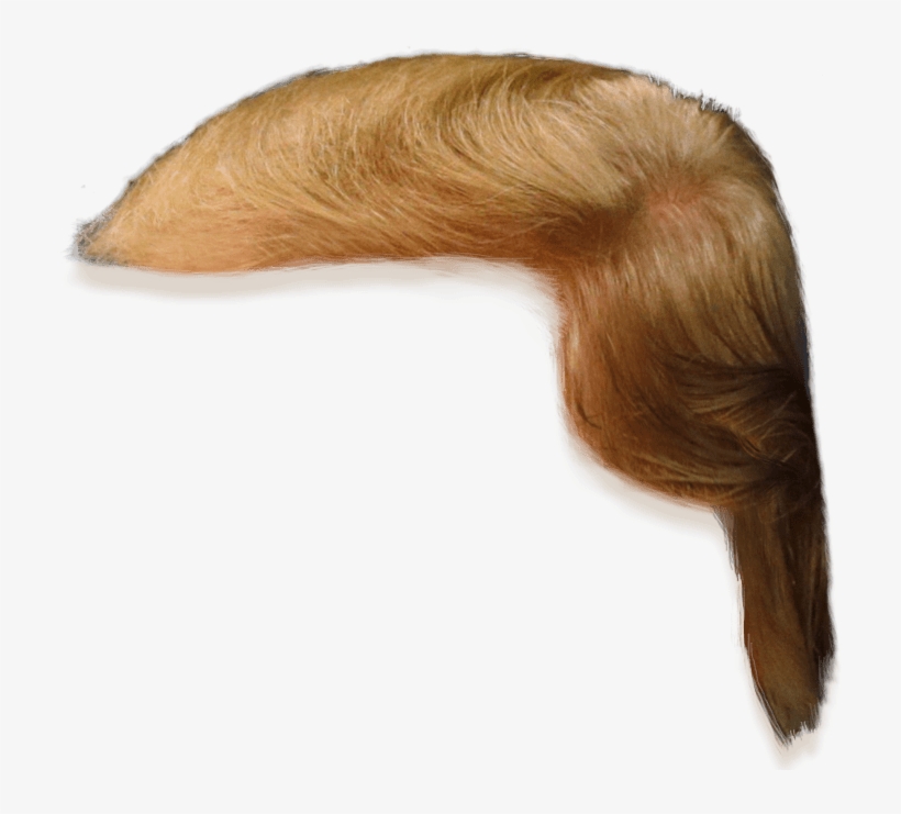 Donald Trump Hair Transparent, transparent png #111402