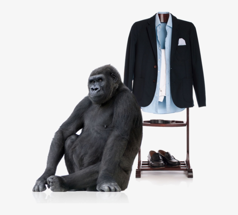 Download Png Image Report - Gorilla White Background, transparent png #111622