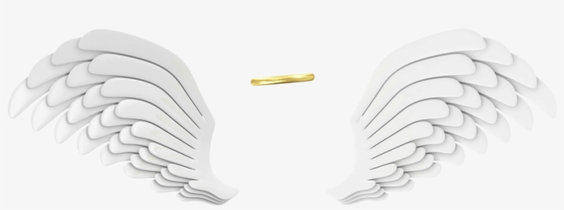 White Wings Png Transparent Image - Portable Network Graphics, transparent png #111688
