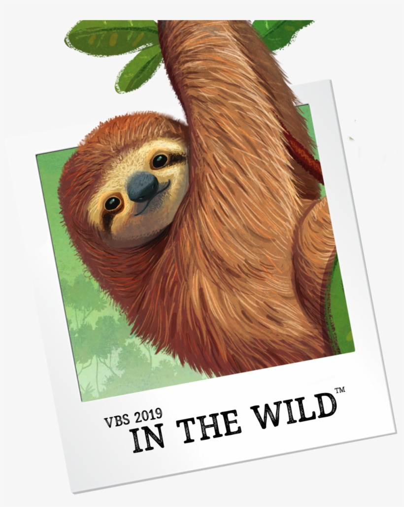 Sloth - Vbs 2019 In The Wild, transparent png #111735