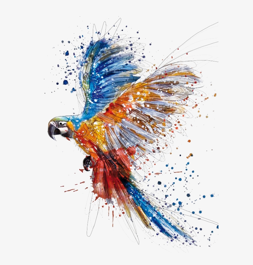 Report Abuse - Tattoo Arara Aquarela, transparent png #111753