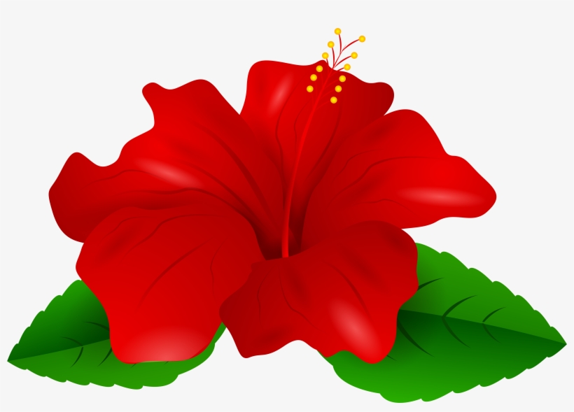 Clip Art Hibiscus, transparent png #112098
