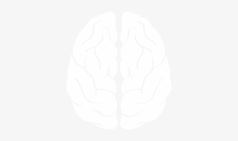 Cincinnati Brain Tumor Care, Stroke Care, Parkinsons - White Brain Icon Png, transparent png #112277