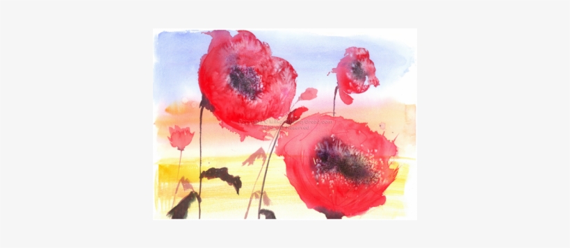 Corn Poppy, transparent png #112609