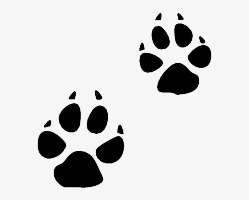 Coyote Paw Prints - Cougar Tracks Clip Art, transparent png #112701