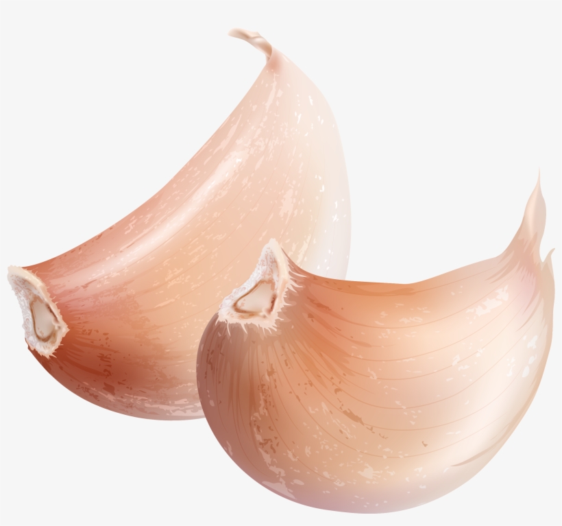 Vector Transparent Download Garlic Watercolor Painting - Garlic, transparent png #112771