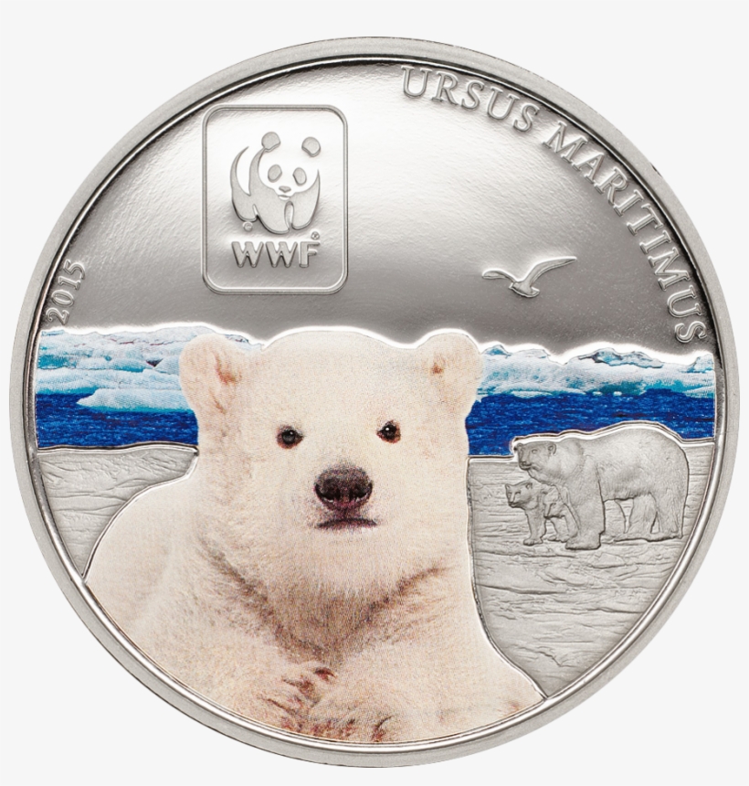 Wwf Polar Bear - Central African Republic, transparent png #114400