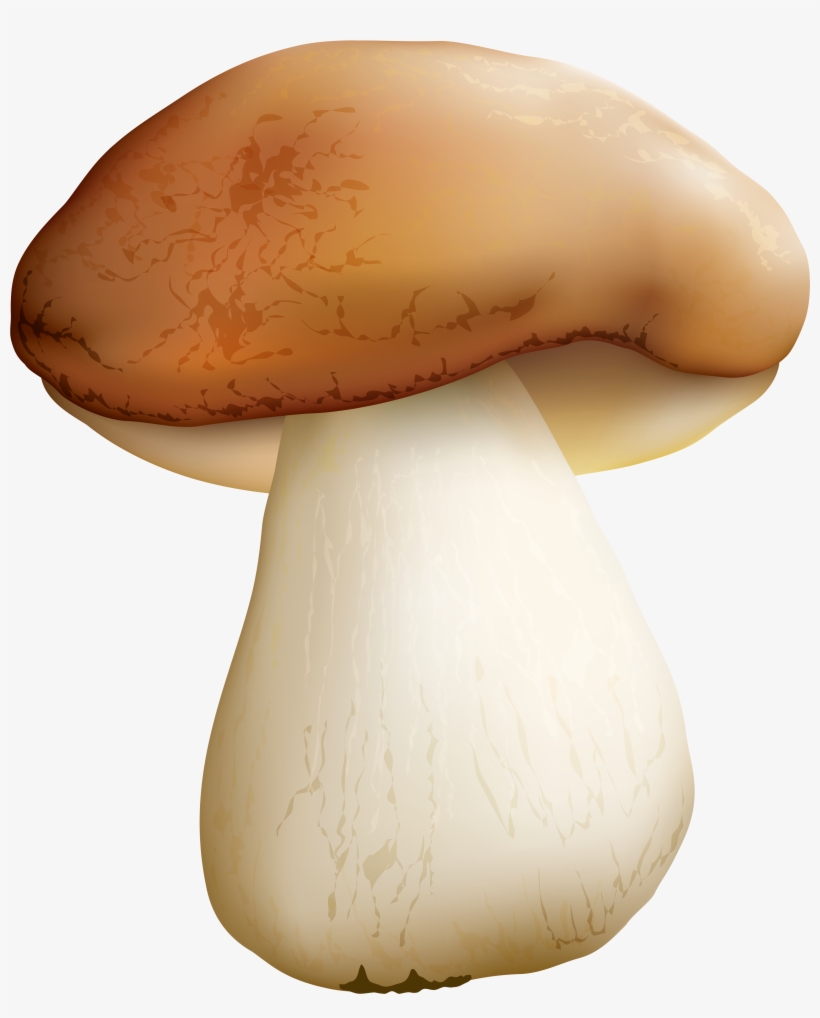 Mushroom Png, transparent png #114566