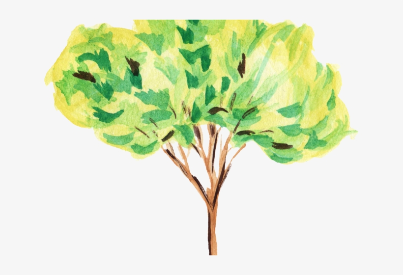 Water Color Clipart Tree - Tree Watercolour Clipart, transparent png #114635