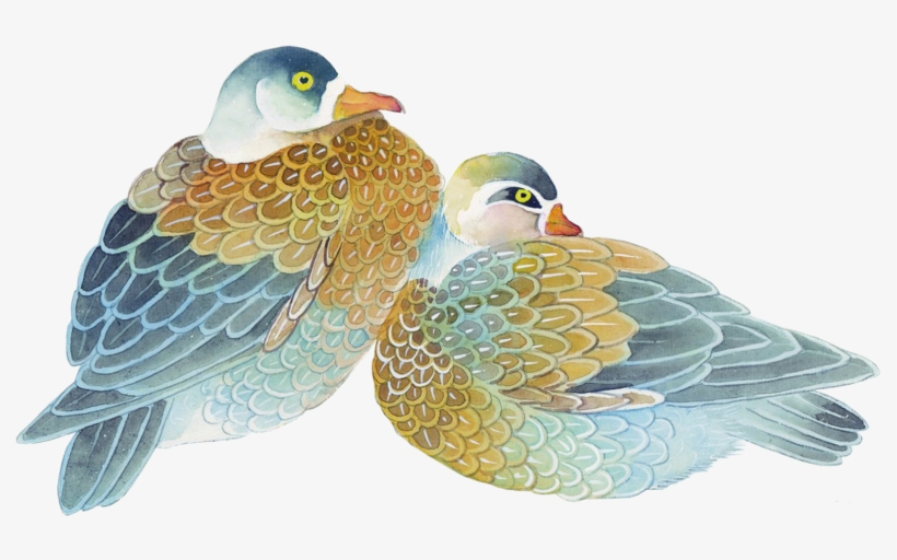 鸳鸯, transparent png #114892