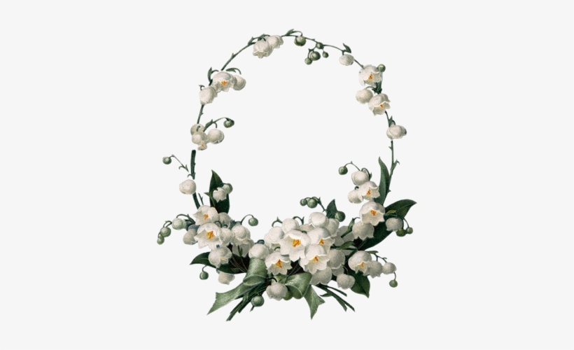 Belle - White Flower Border, transparent png #115086