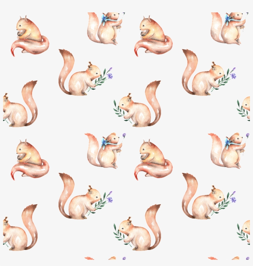 Squirrel, transparent png #115504