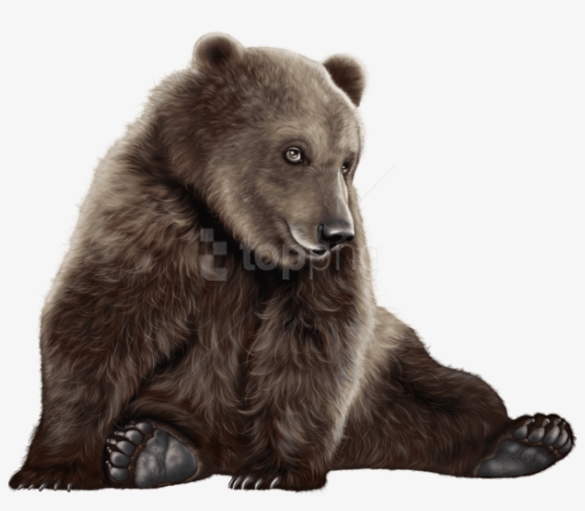 Bear Png Clip Art - Black Bear Polar, transparent png #115527