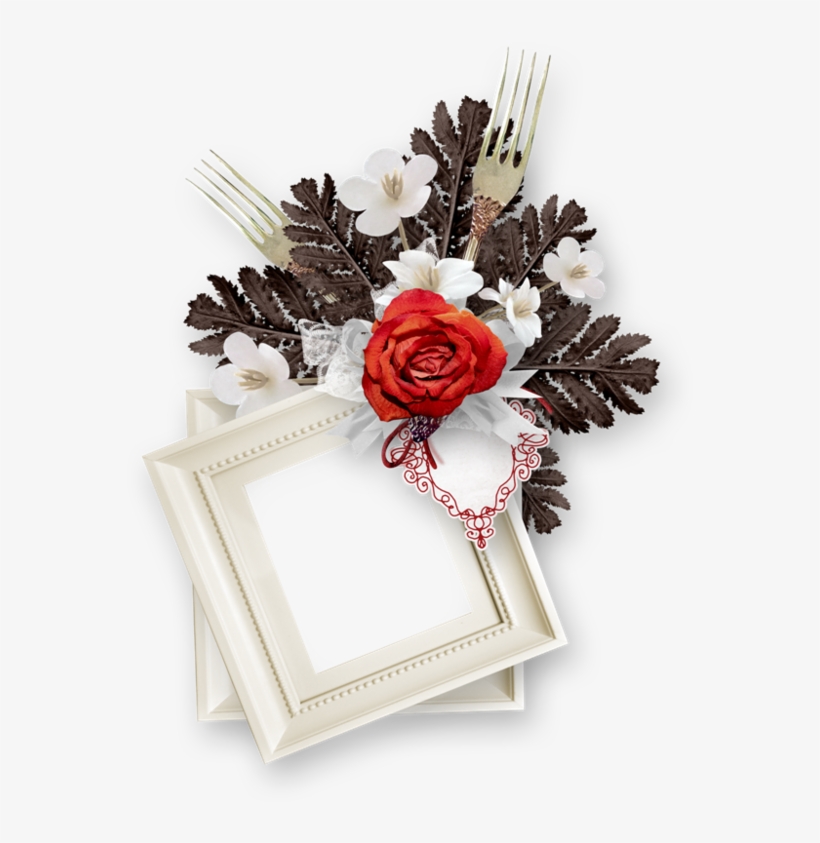 Marco Rahmen Cadre Frame Tube Png Quadro - Garden Roses, transparent png #115742