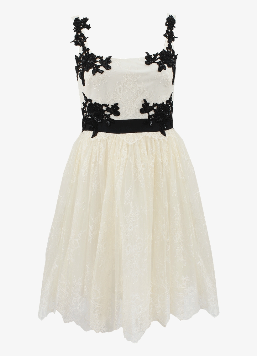 Marchesa, transparent png #115787