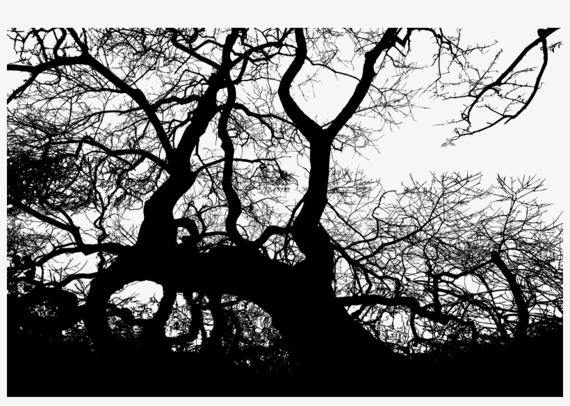 Big Image - Silhouette, transparent png #115868