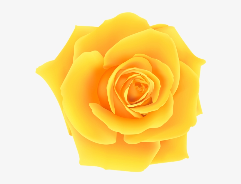 Yellow Roses Clip Art Yellow Rose Png Clip Art Image - Rosa Amarela Png, transparent png #115920