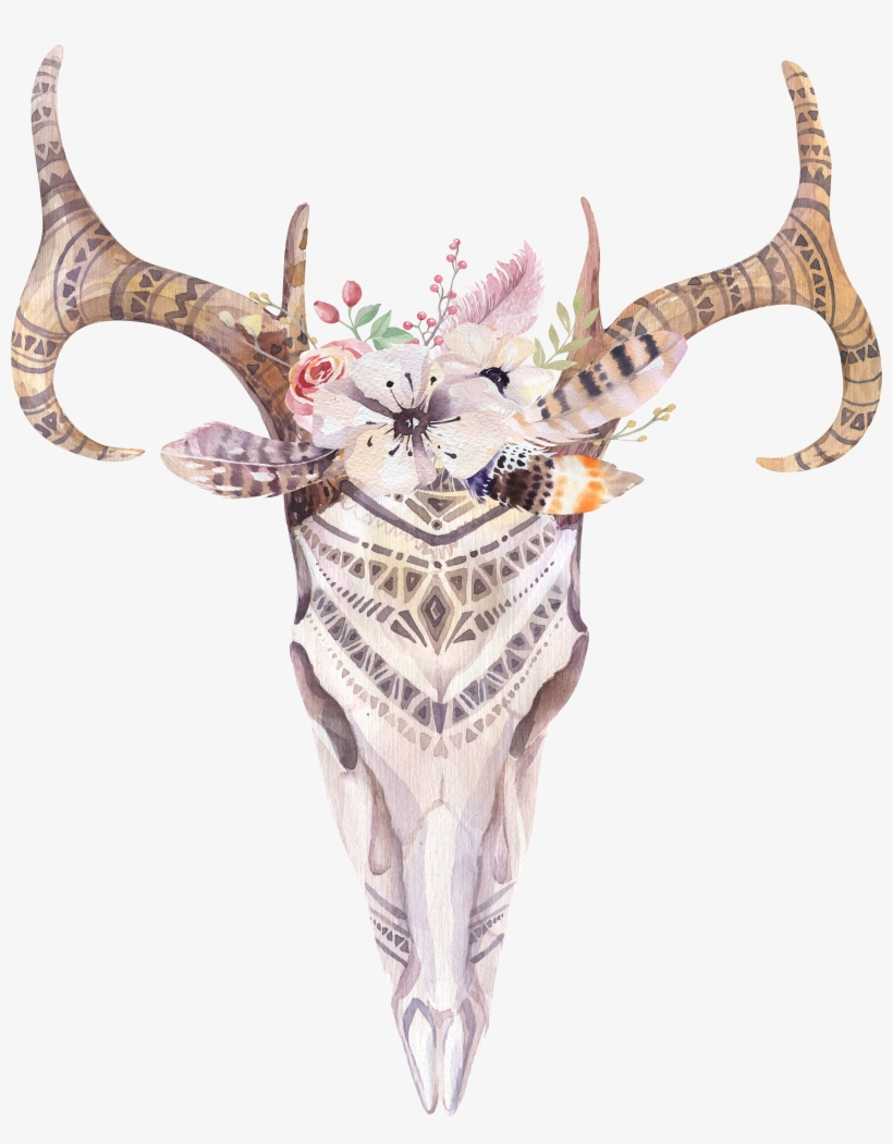 Antlers And Flowers Png Free - Boho Cow Skull Png, transparent png #115964