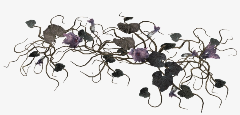 Fo4 Wild Melon Vine - Japanese Honeysuckle, transparent png #115990