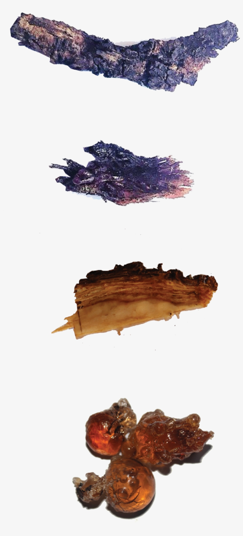 Untitled-2 - Portable Network Graphics, transparent png #116323