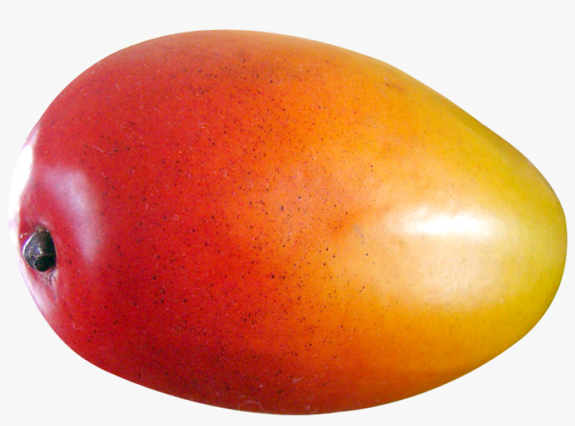 Download Mango Fruit Png Image - Mango Fruit Images Png, transparent png #116480