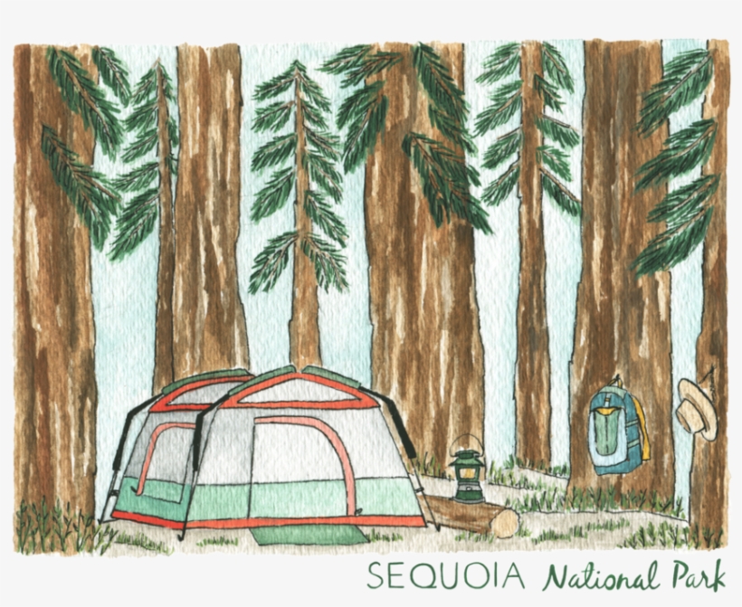 You Can Purchase Prints And Calendars In My Shop, transparent png #116622