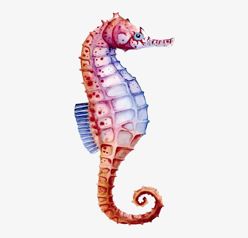 Seahorse Watercolor Painting Drawing - Seahorse Watercolor Png, transparent png #116771