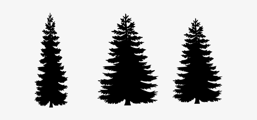 Download Pine Clipart Vector - Pine Tree Silhouette Free - Free Transparent PNG Download - PNGkey