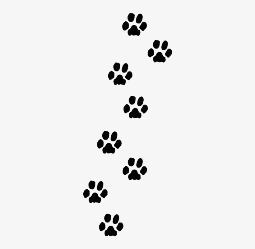 Dog Paw Prints Png, transparent png #117958