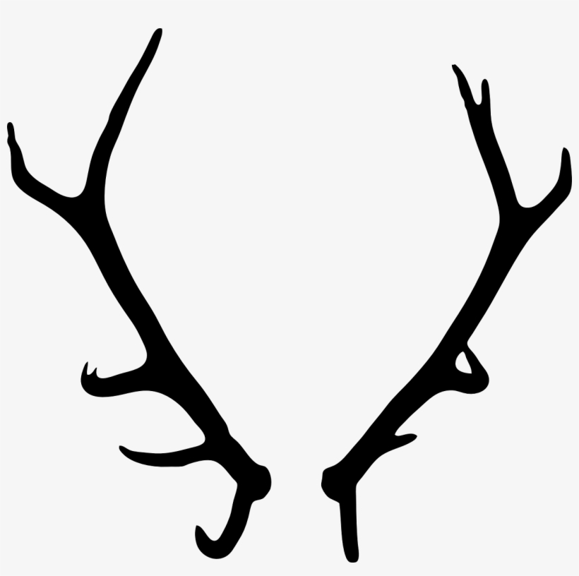 Horns Vector Black And White Graphic Transparent - Antlers Transparent Background, transparent png #118226