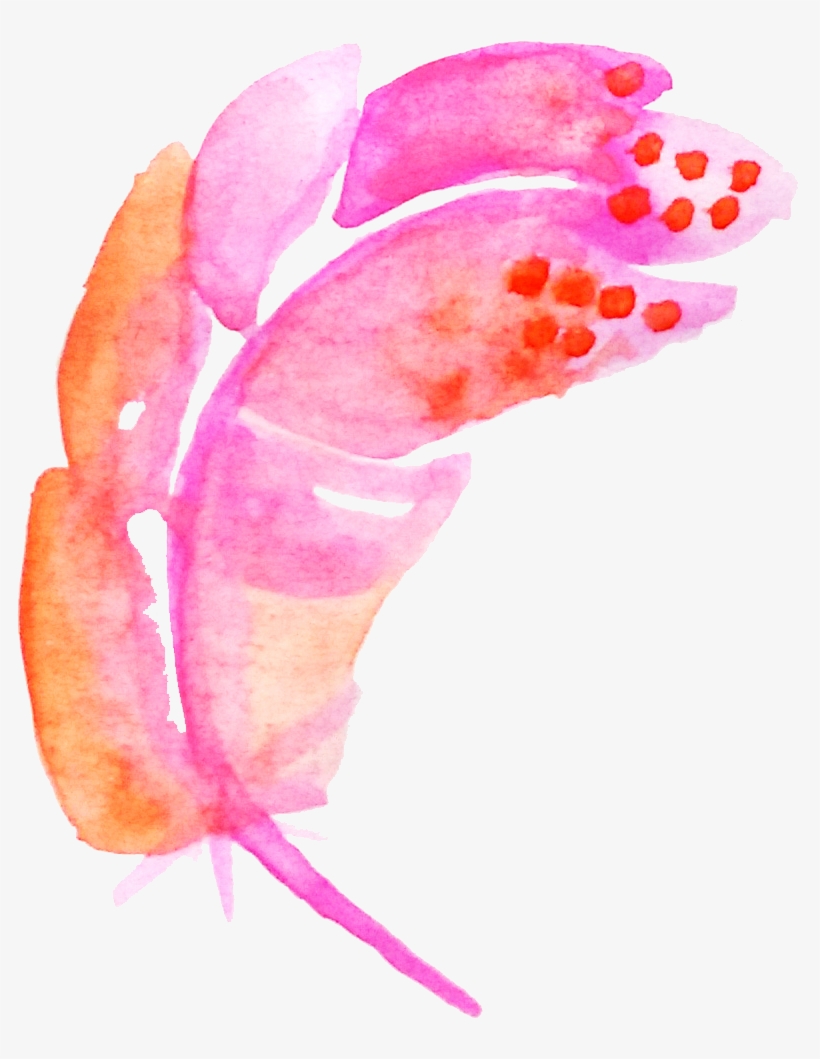 Feather Pink - Watercolor Painting, transparent png #118291