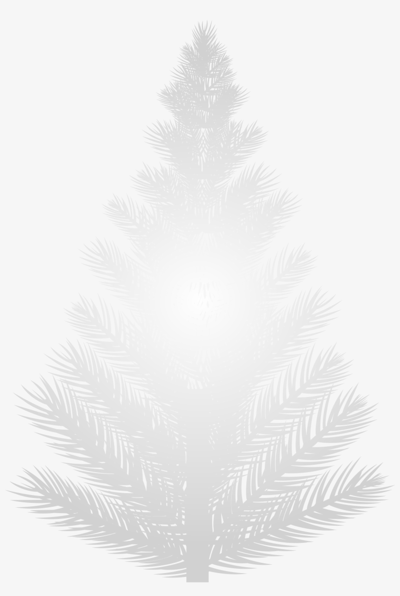 White Pine Tree Png Clip Art Image - White Pine Tree Png, transparent png #118413