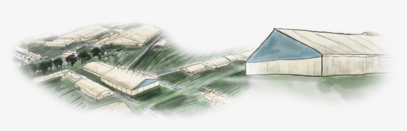 Illustration C - Sketch, transparent png #118436