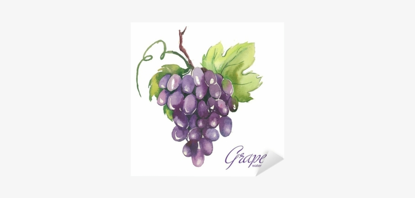 Watercolor Painting, transparent png #118676