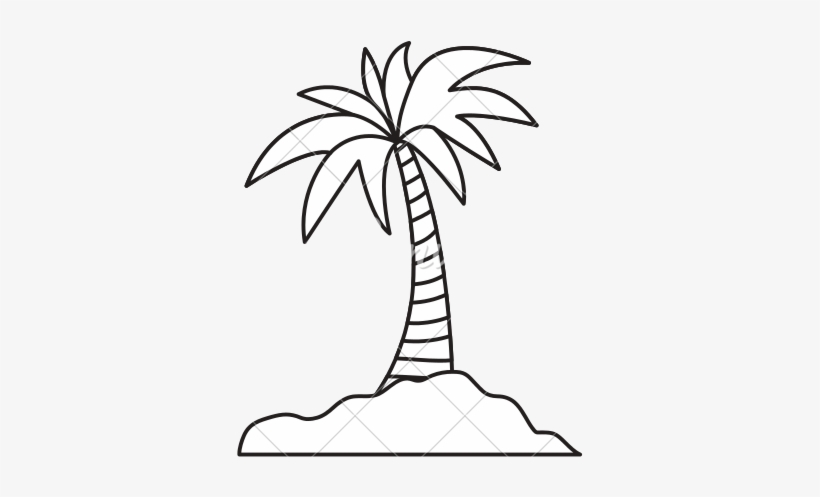 Island Palm Tree - Palmera De Isla Vector, transparent png #119310