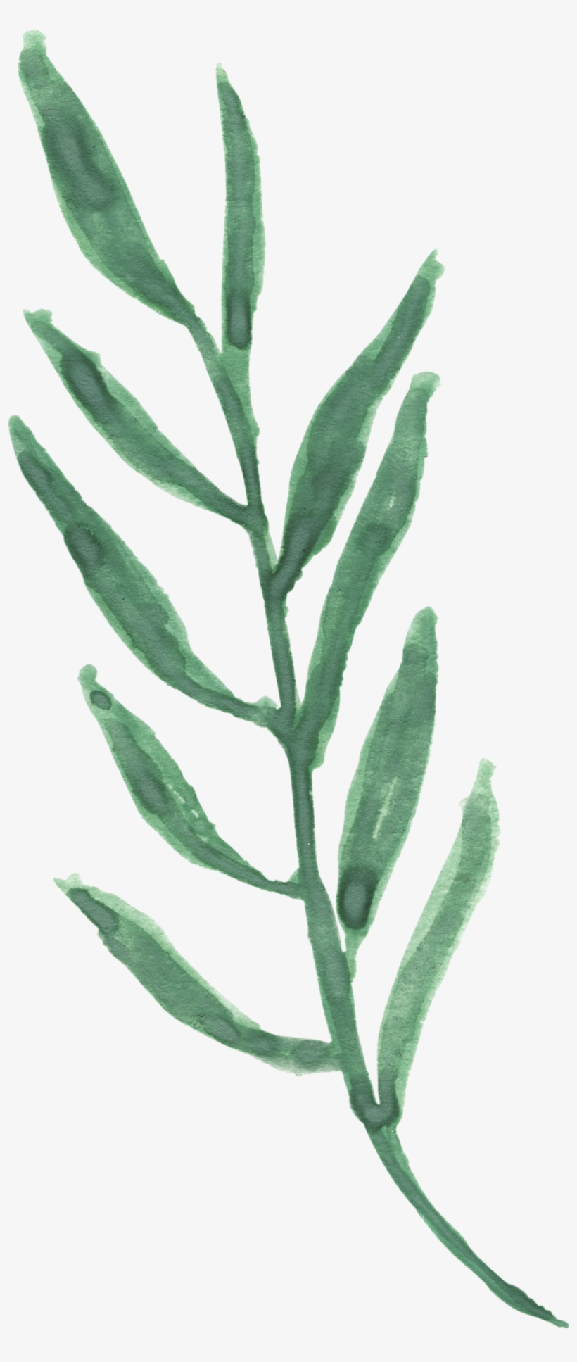 0℃素材11 - Twig, transparent png #119816
