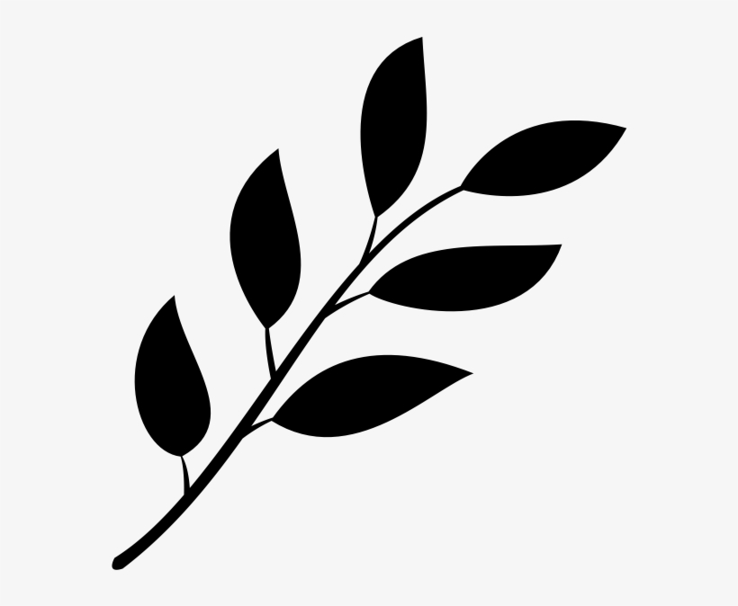 Download Nounproject Leaves Leaves Svg Free Transparent Png Download Pngkey