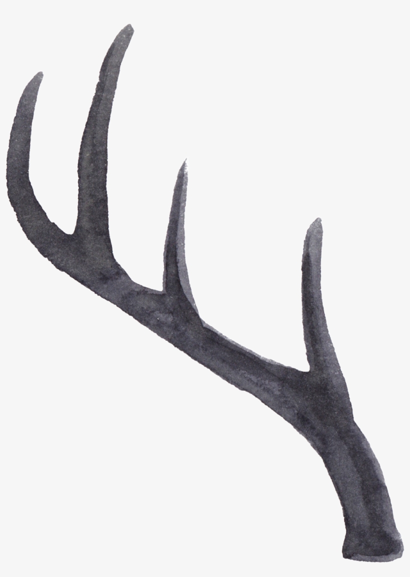 Portable Network Graphics, transparent png #119915