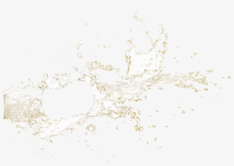 Award Winning - Psd, transparent png #1100080