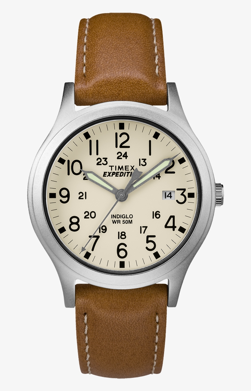 Expedition Scout Midsize 36mm Leather Strap Watch - Timex Watch Expedition Mid-size Scout | Ip Steel/tan/natural, transparent png #1100400