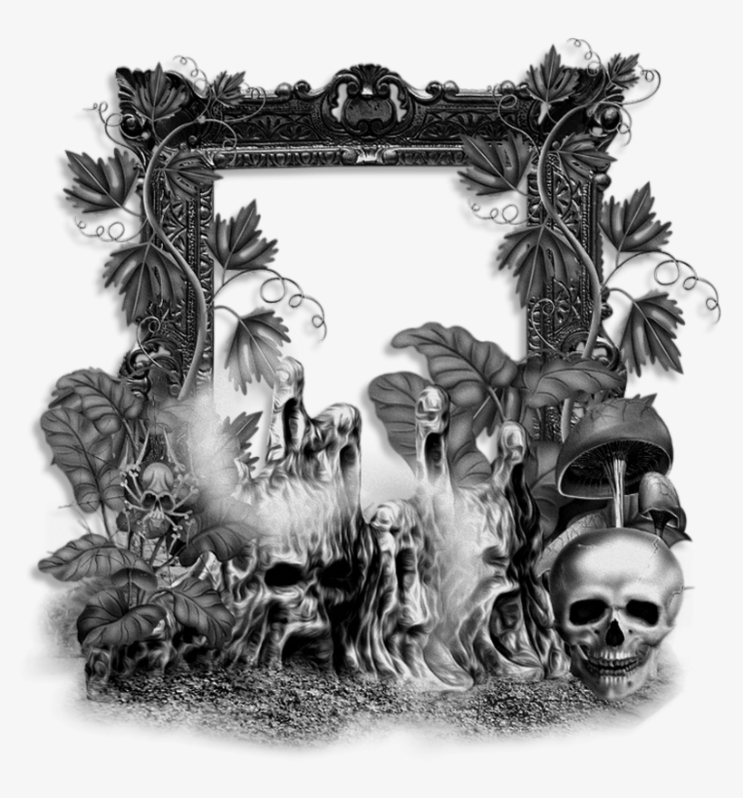 Picture Frame, transparent png #1100704