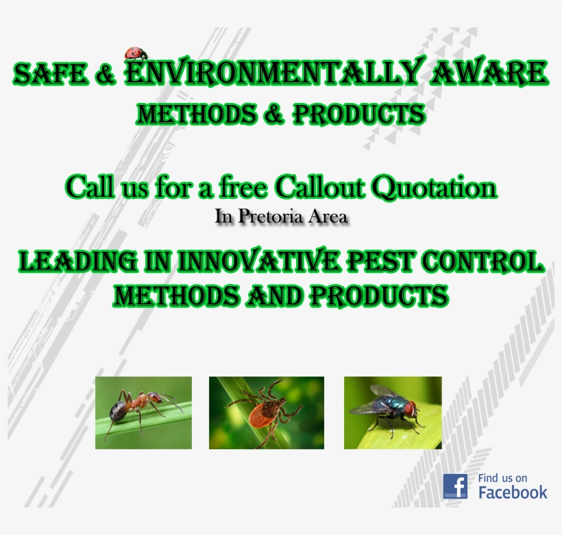 Pest Control - Pretoria, transparent png #1101142