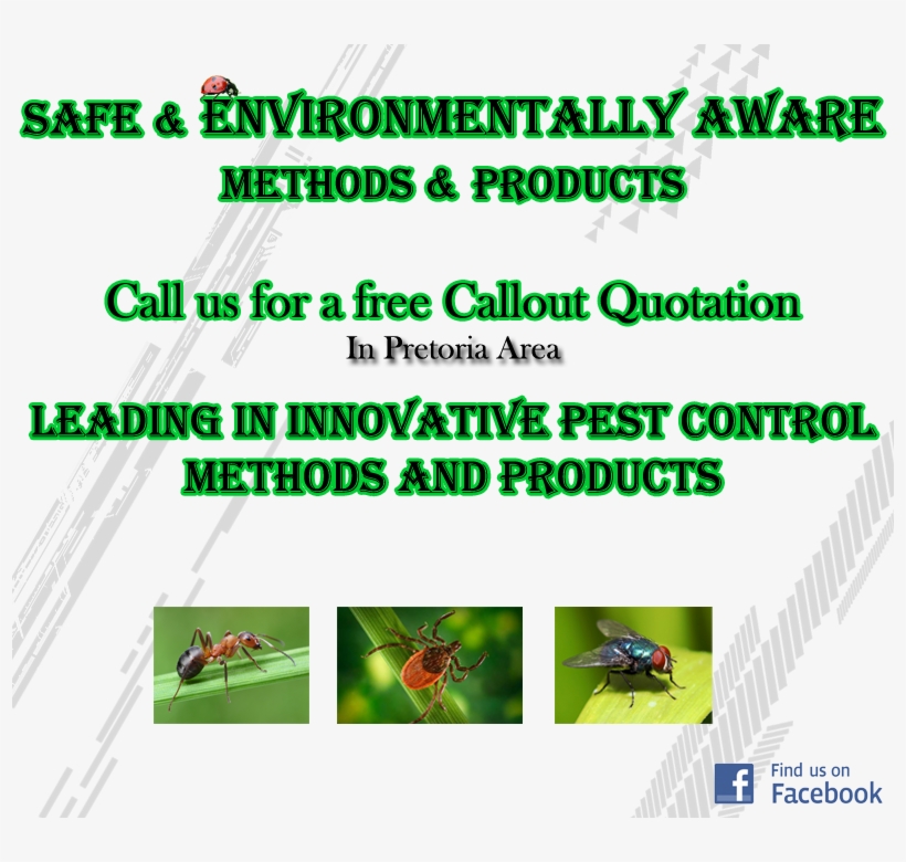 Pest Control Pretoria Free Transparent PNG Download PNGkey