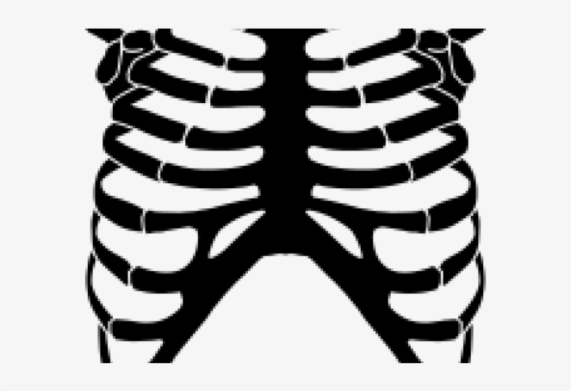 Rib Cage Png Transparent Images - Stencil Rib Cage Cut Diy Skeleton Shirt Template, transparent png #1101340