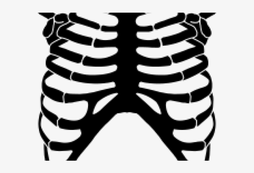 Skeleton Clipart Torso - T Shirts For Roblox - Free Transparent PNG Clipart  Images Download