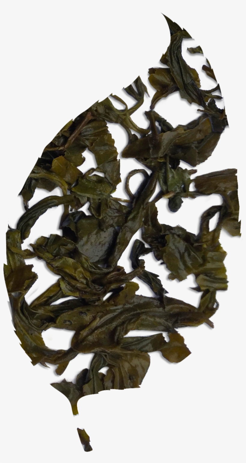 Chinese Green Tea - Green Tea, transparent png #1101379