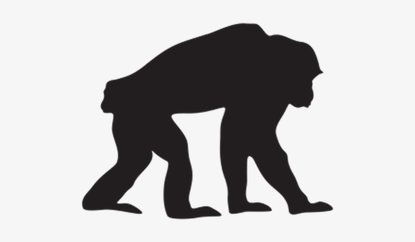 Chimpanzee Clipart Student - Chimpanzee Clipart Black, transparent png #1101447