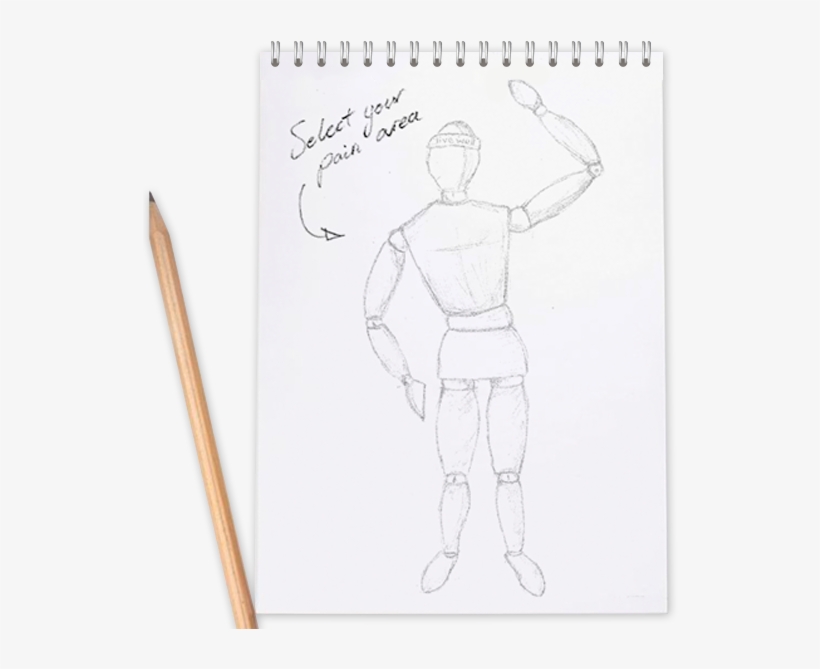 Thoracic Spine - Drawing, transparent png #1102114