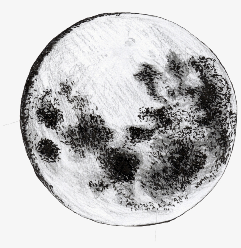 The Moon Is A Cheese Ball - Moon Drawing Transparent, transparent png #1102600
