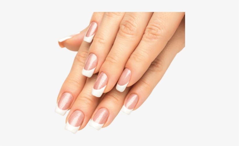 Free Png Nails Png Images Transparent - Fing'rs Unghie Tips Decorate Natural Look 24 Unghie, transparent png #1103394